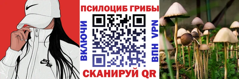 KRAKEN ссылки  Сольцы  Псилоцибиновые грибы ЛСД 