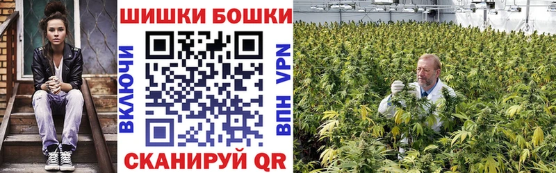Марихуана SATIVA & INDICA  наркотики  Сольцы 